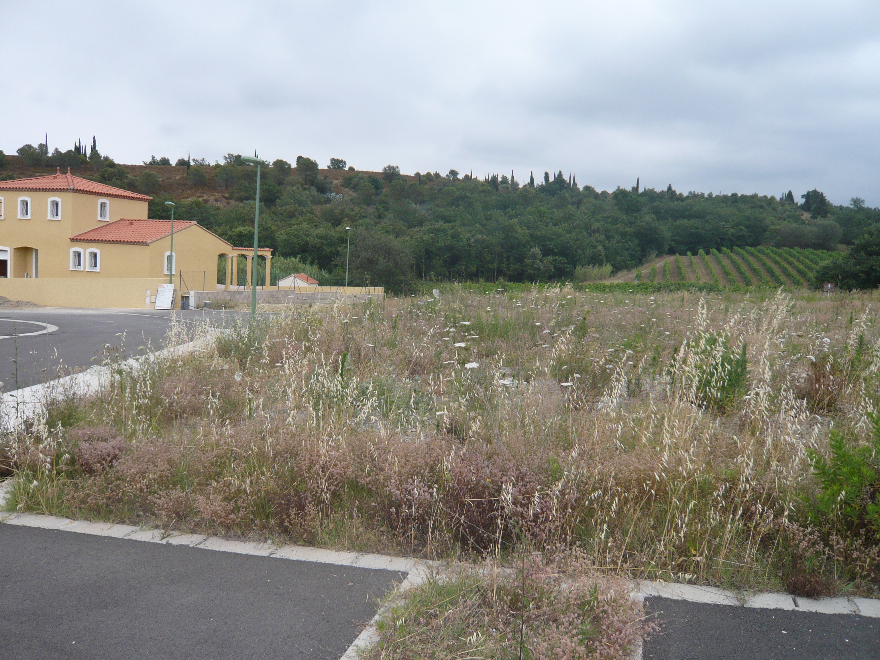 Offres de vente Terrain Montesquieu-des-Albères 66740