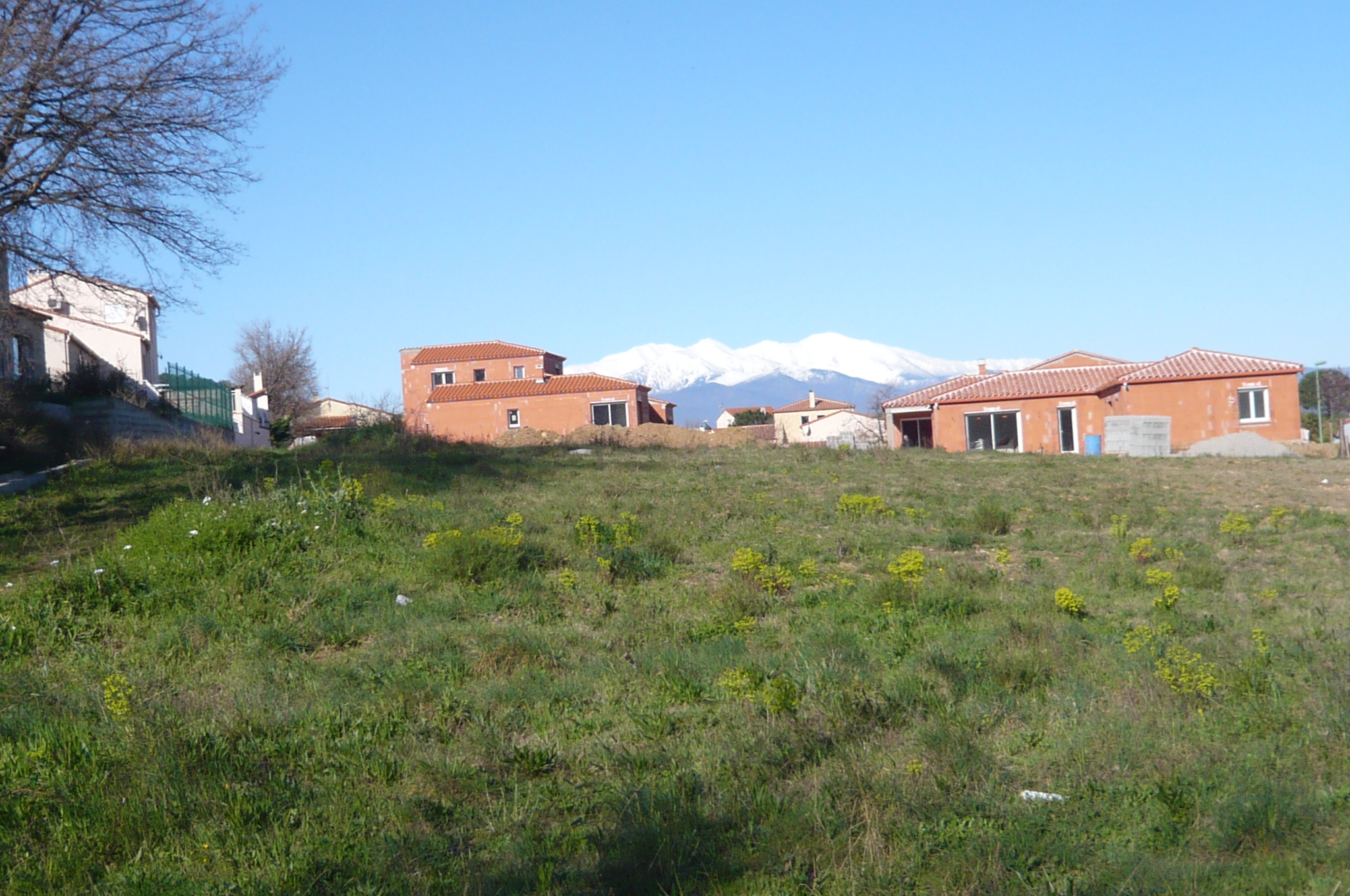 Offres de vente Terrain Montesquieu-des-Albères 66740